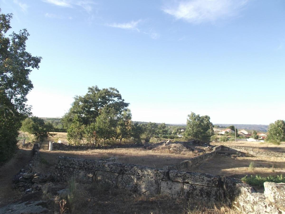 Casa Do Lagar - Mido - Casa Rural Villa Buitenkant foto